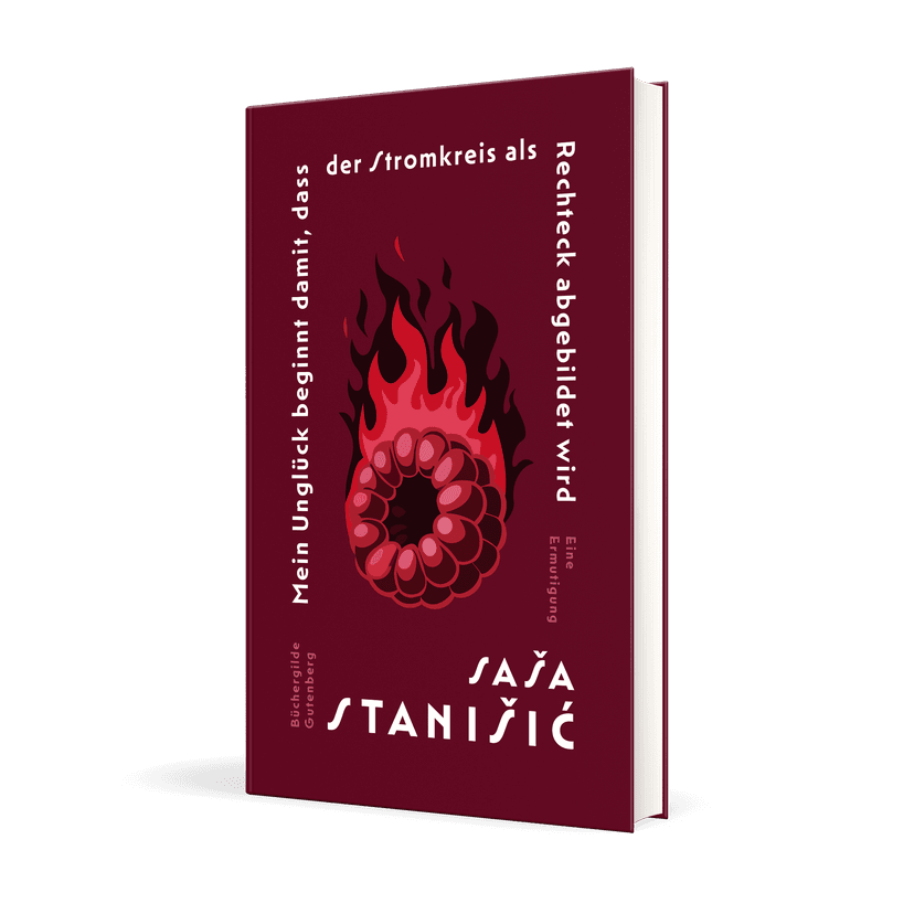 177242_Stanisic_Unglueck_3D_01.png