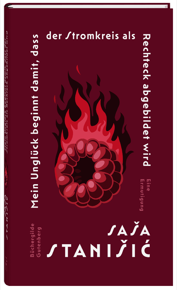 177242_Stanisic_Unglueck_FR_02.png