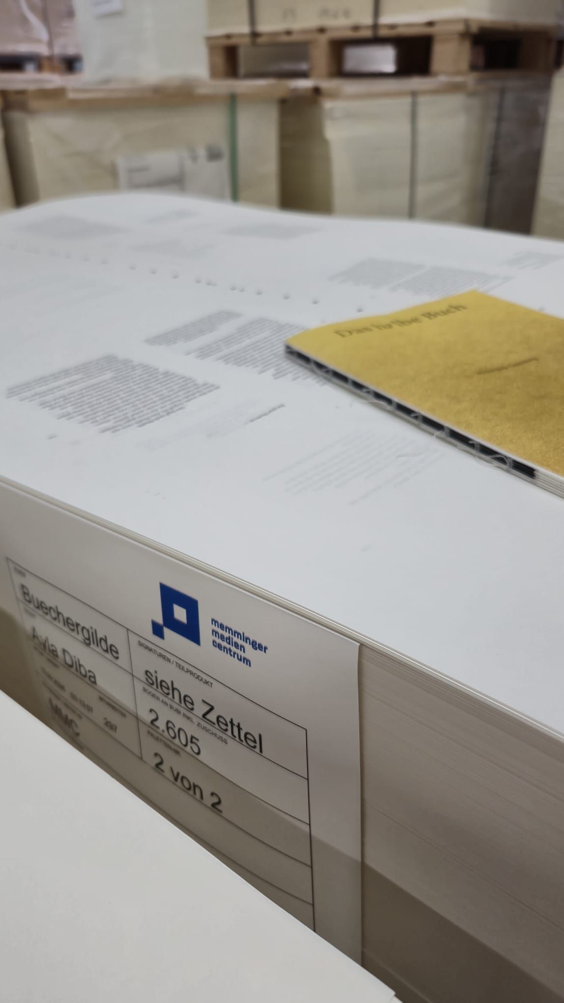 2026_09_Buechergilde_DasHalbeBuch (32).jpeg
